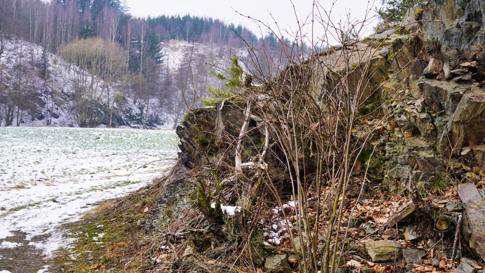 Plothenbachtal Fels 01