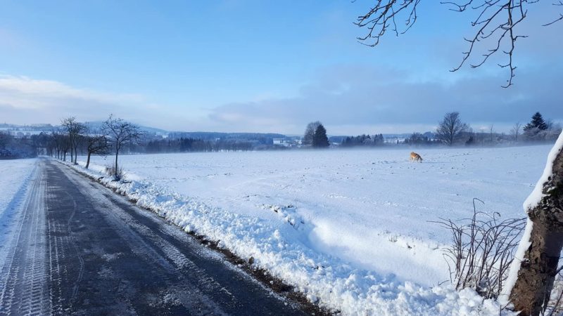 Traumhafte Winterlandschaft bei Sparneck
