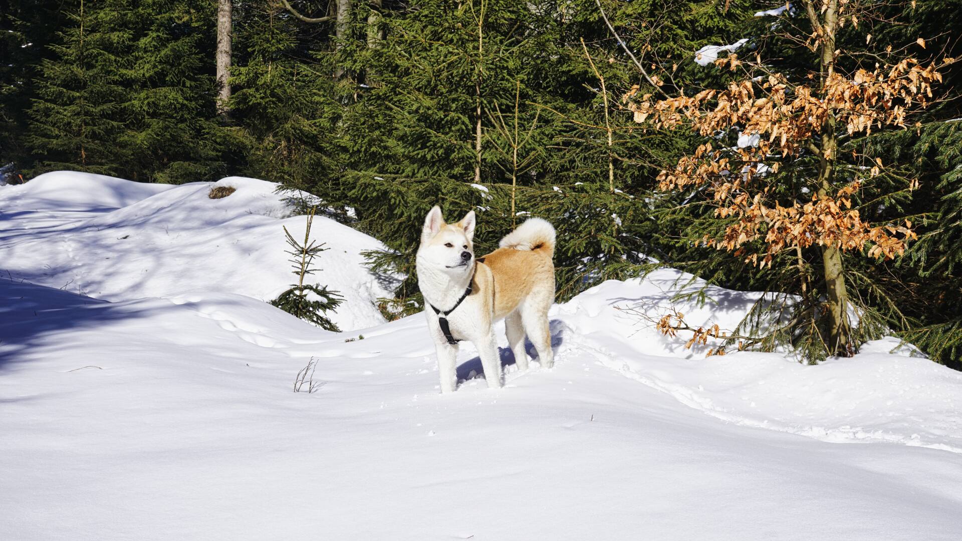 abenteuer fichtelgebirge home