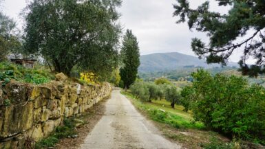 Der Franziskusweg von Sant ´Ellero bis Gualdo