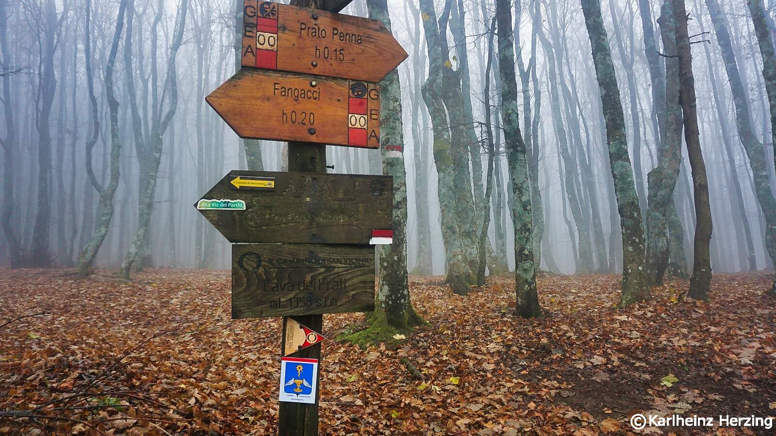 Franziskusweg tag zwei nebelwald