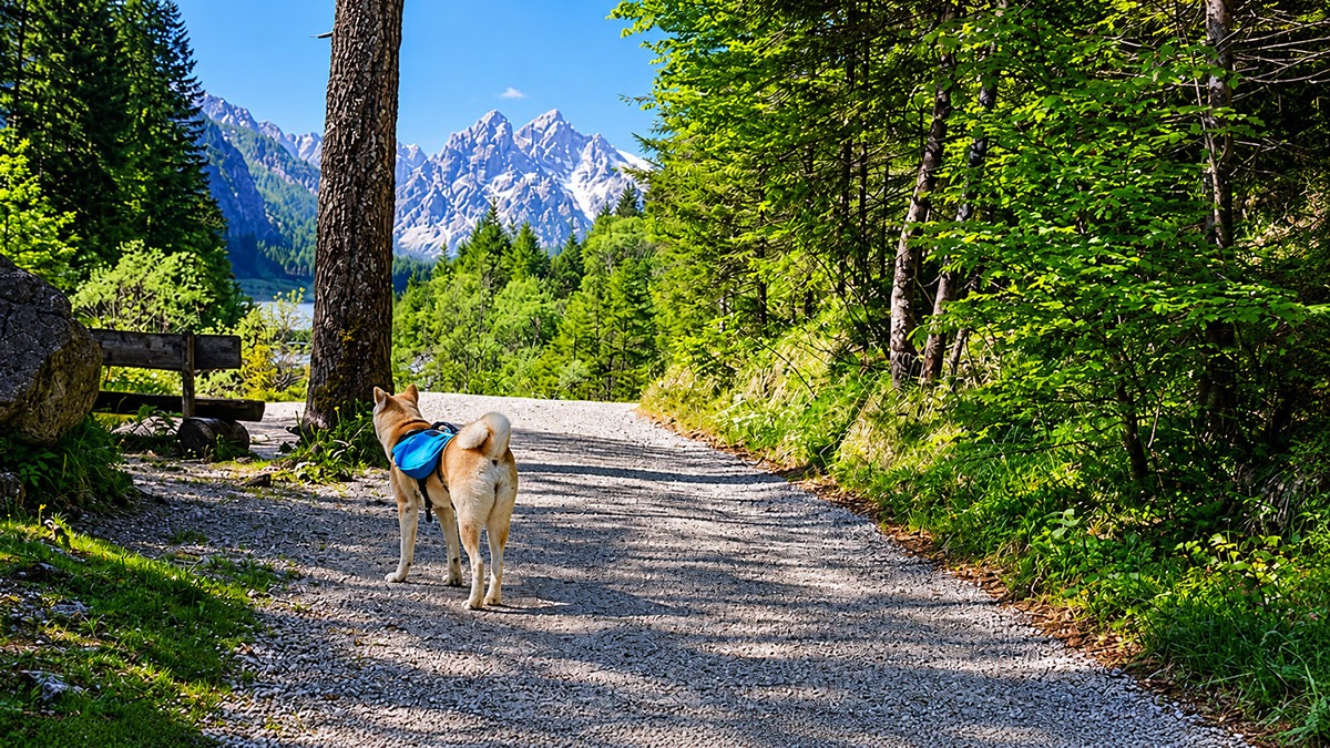 Auf dem Weg zum Wimbachgries