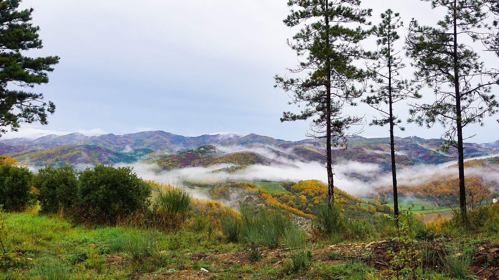 Traumhafte Landschaft entlang des Franziskusweges