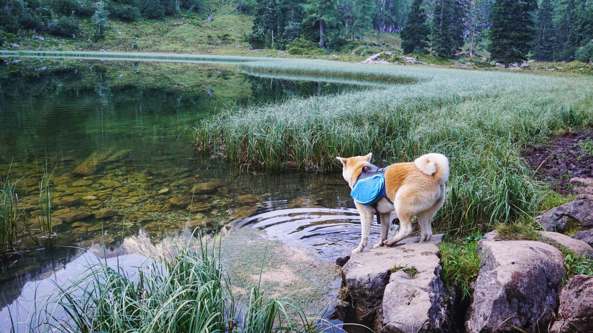 Umrundung des Koenigssee
