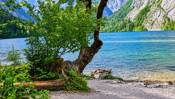 Der Königsee