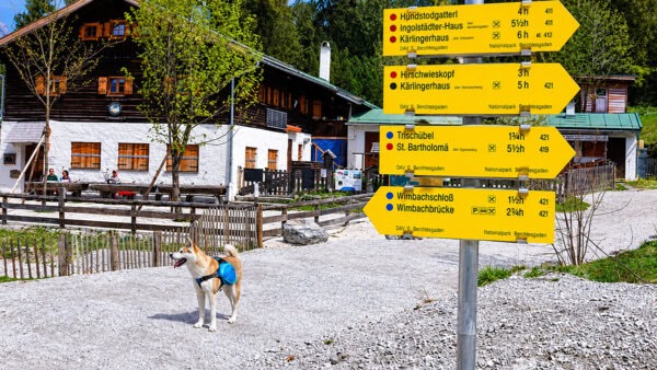 Yuki vor dem Wimbachgrieshütte
