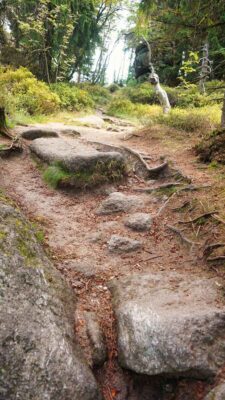 fichtelgebirge weg new