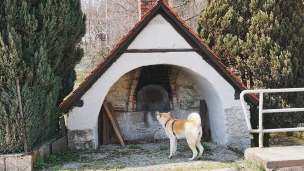 glashuetten-bamberg-backofen-yuki glashuetten bamberg backofen yuki