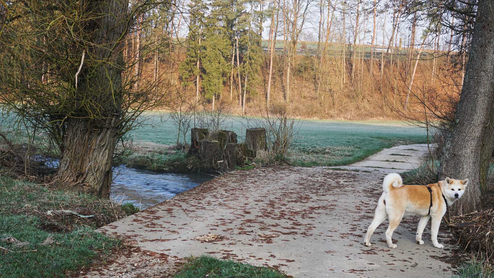 glashuetten bamberg truppach yuki