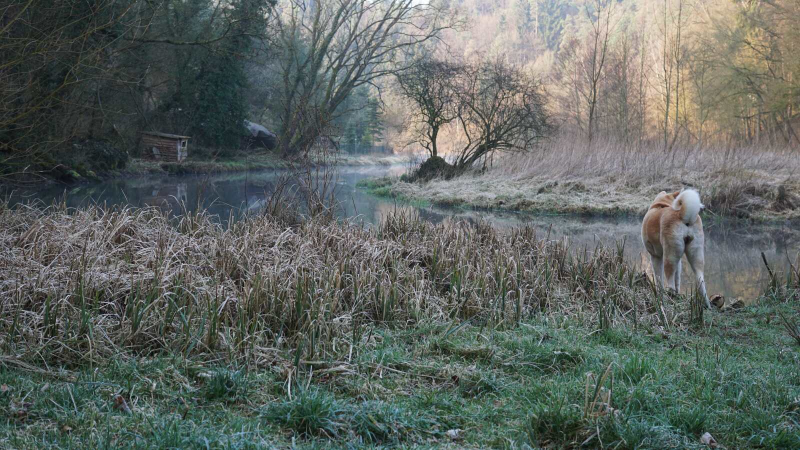 glashuetten bamberg wiesent yuki