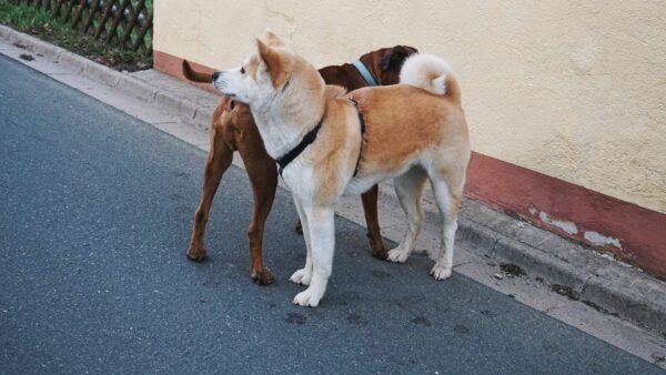 glashuetten-bamberg-yuki-bekanntschaft glashuetten bamberg yuki bekanntschaft