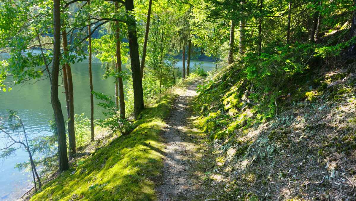 hohenwarte stausee seeweg new