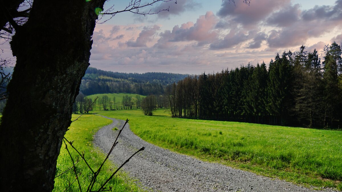 Zeubachtal Wirtschaftsweg
