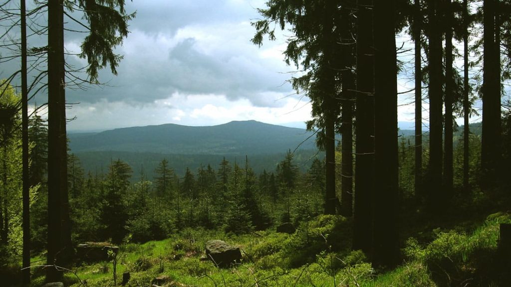 weissenstadt schneeberg waldstein 06