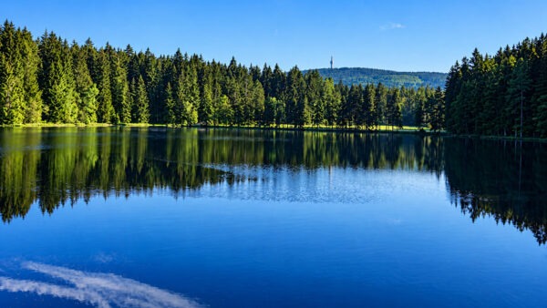 Der Fichtelsee und im Hintergrund der Gipfel des Schneeberges