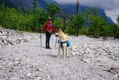 koenigssee schneefeld
