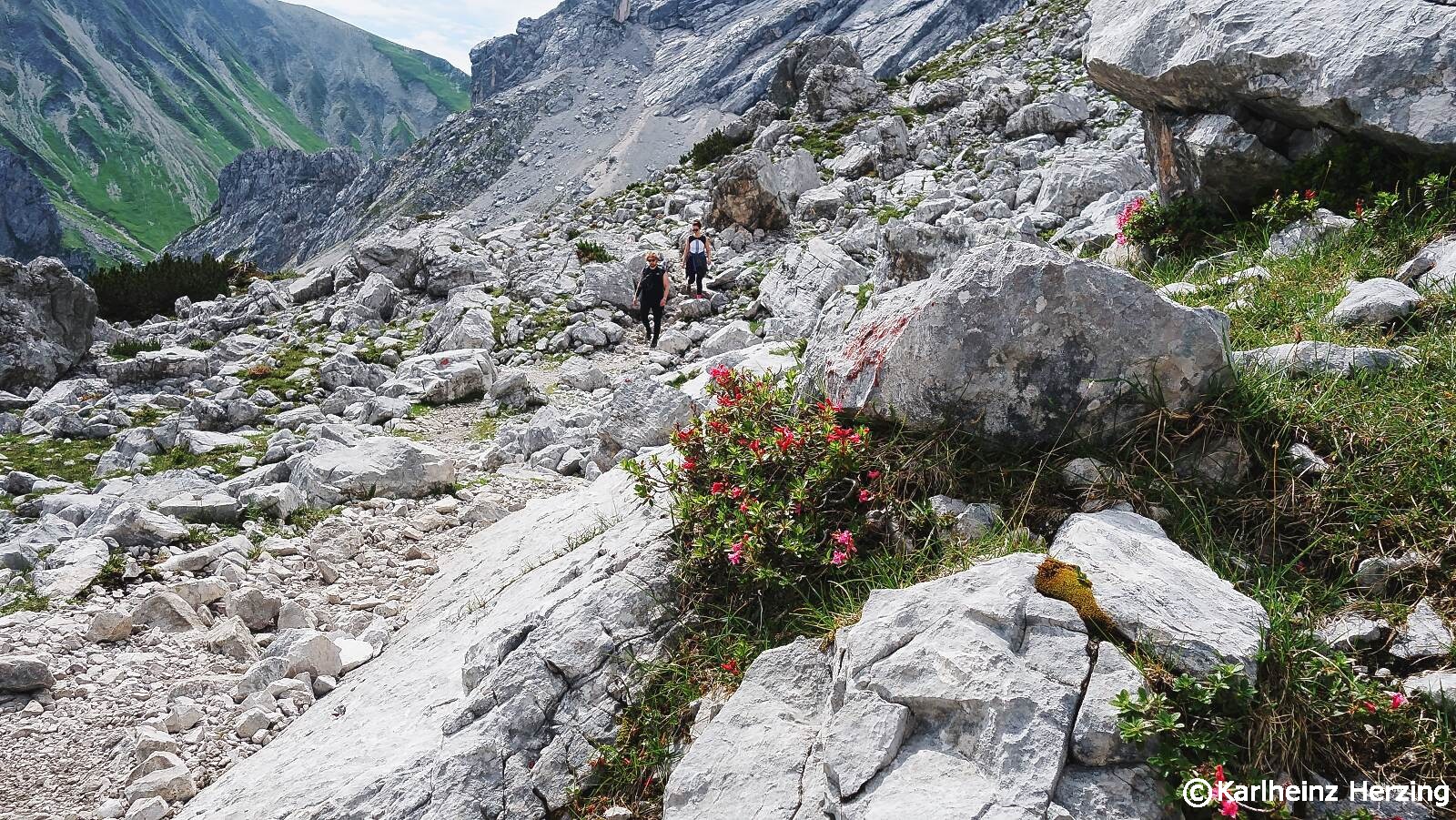 Knorrhütte bis zur Tillfussalm