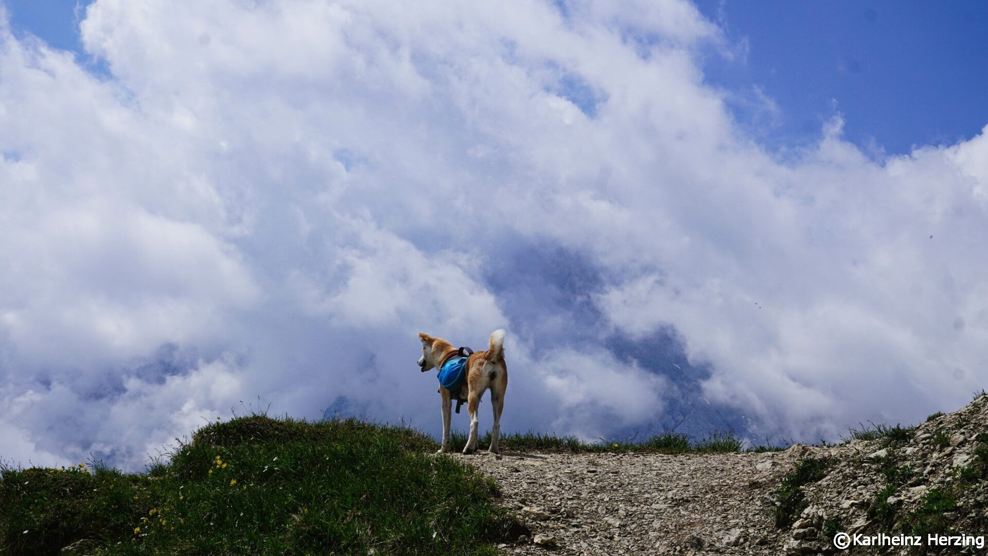 Auf dem Weg zur Tillfussalm