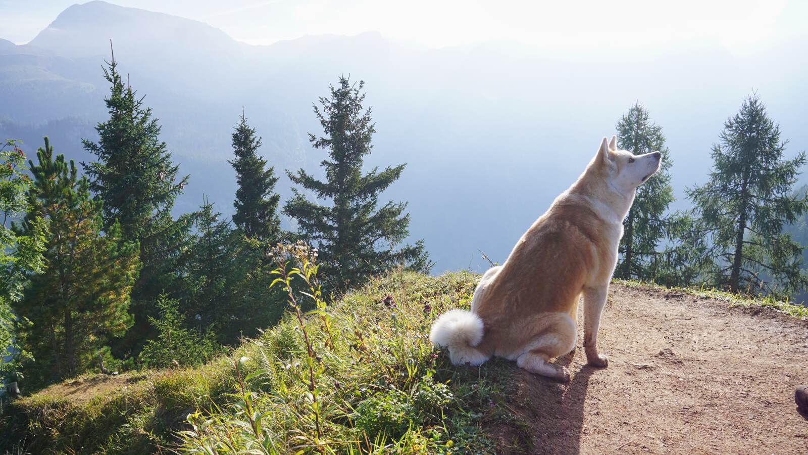 Yuki über dem Königssee