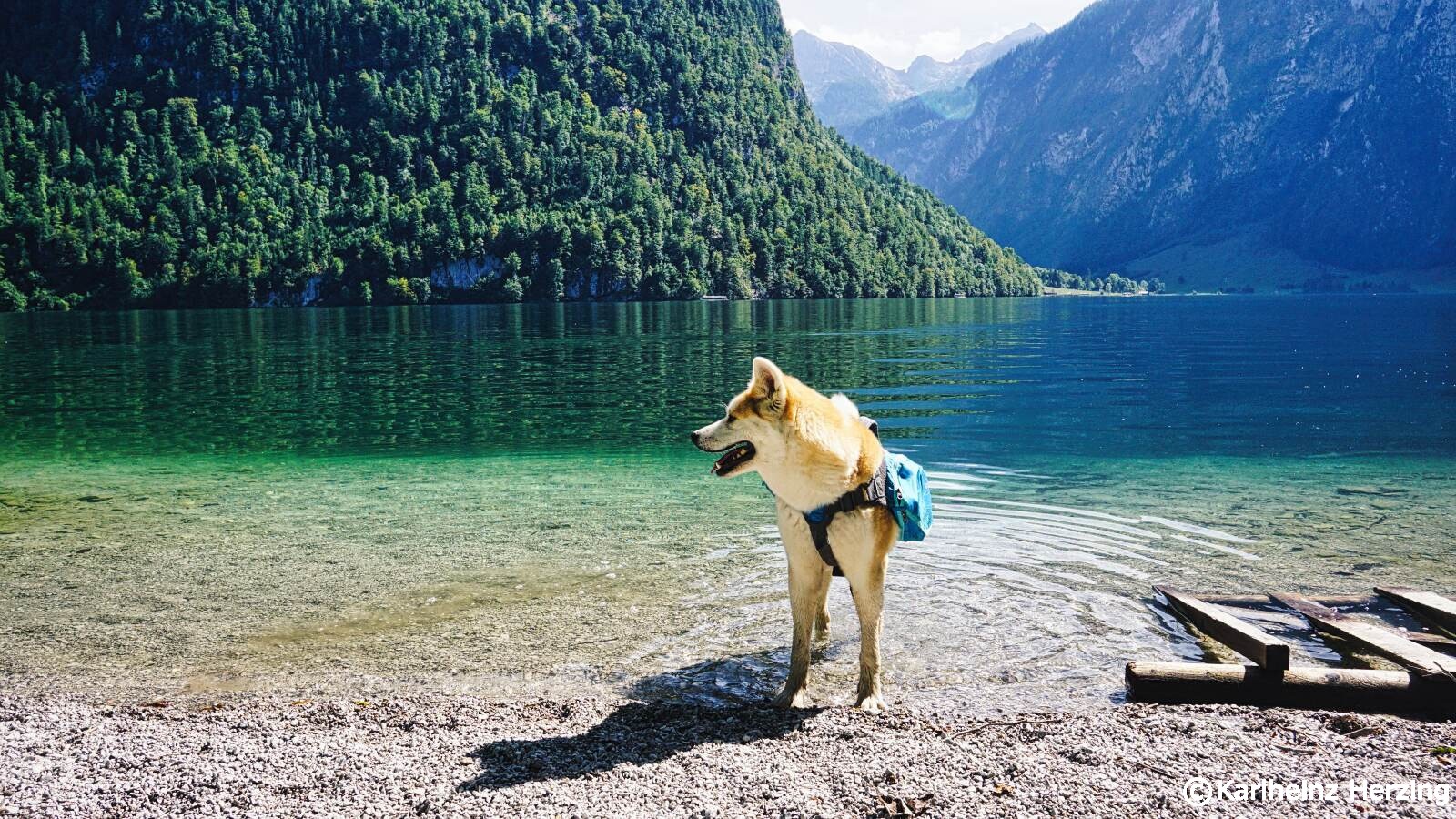 yuki im koenigssee