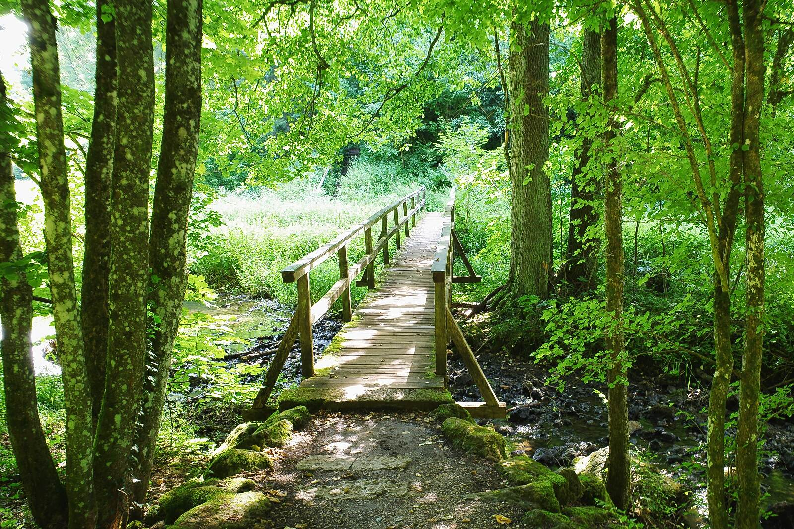 Brücke über den Ailsbach