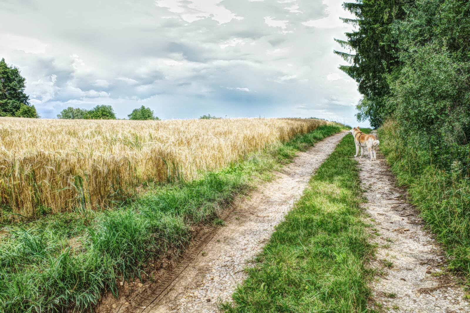 Waischenfeld-Ailsbachtal-Doos-Weg