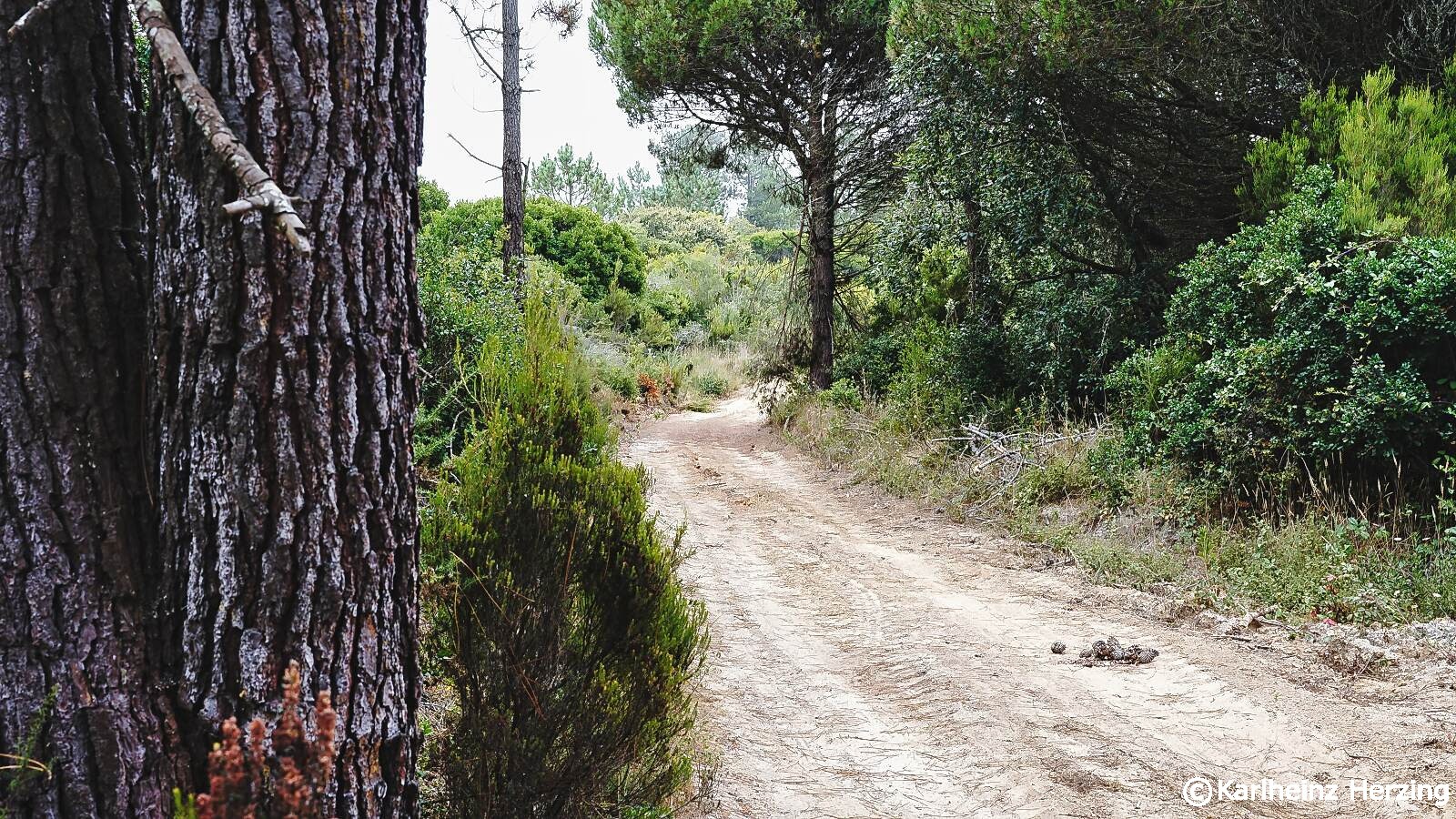 Portugal Wanderung bei Nazare Hochweg