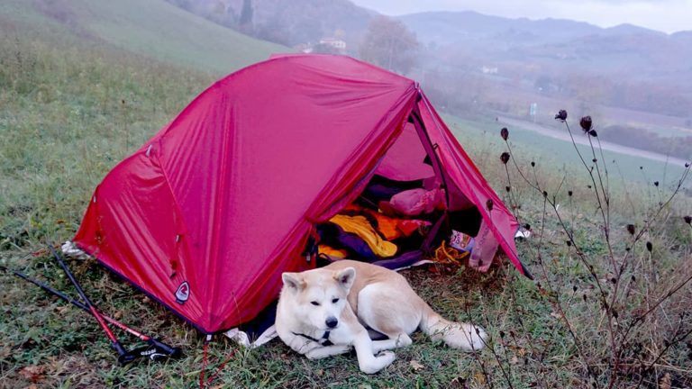 Der Franziskusweg Mit Hund Und Zelt