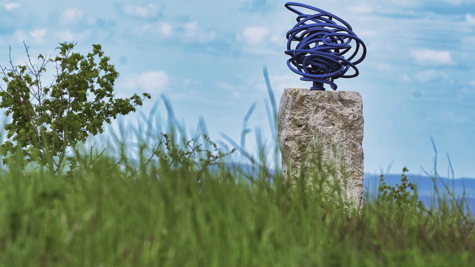 Kunst auf der Neubuerg