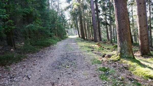 Zeubachtalwanderung 1 2 new