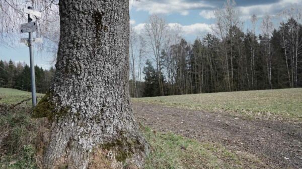 Zeubachtalwanderung new