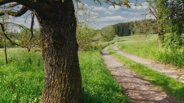 zeubachtal nankendorf neussig new