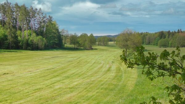 zeubachtal nankendorf new