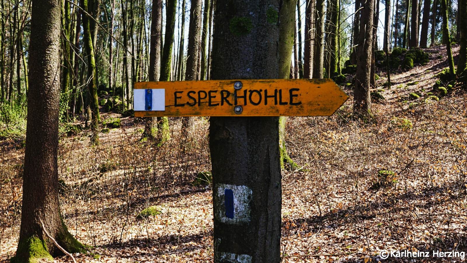 Esperhohle Wegweiser