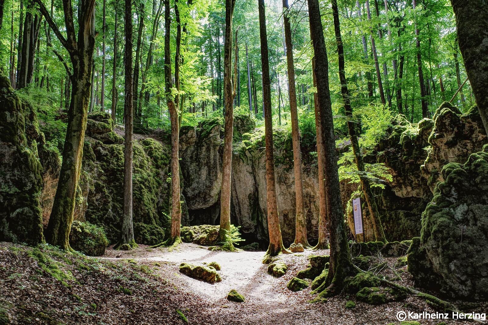esperhoehle 1