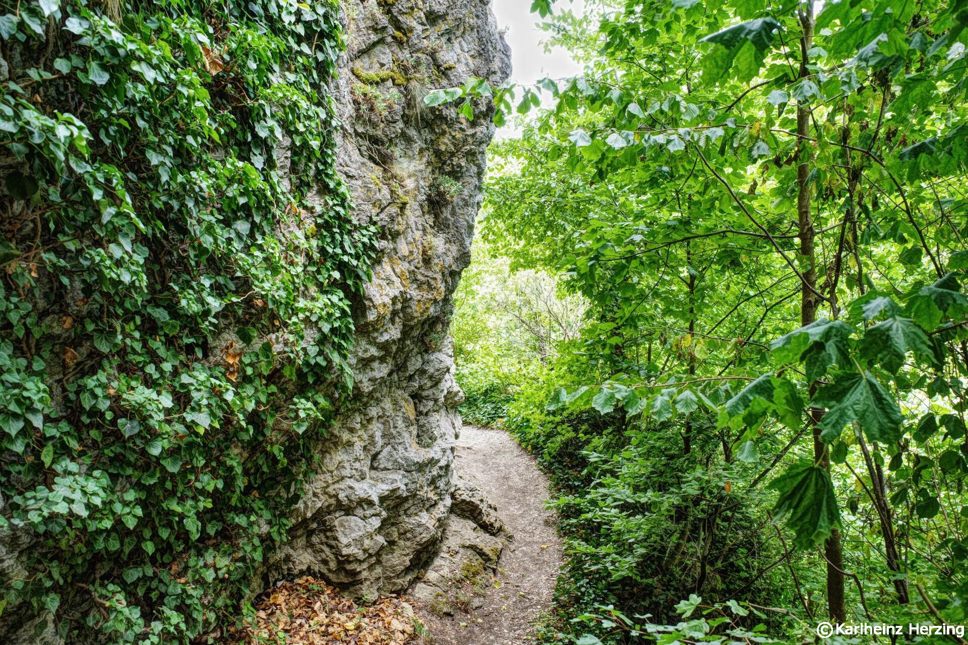 mehlbeerensteig home