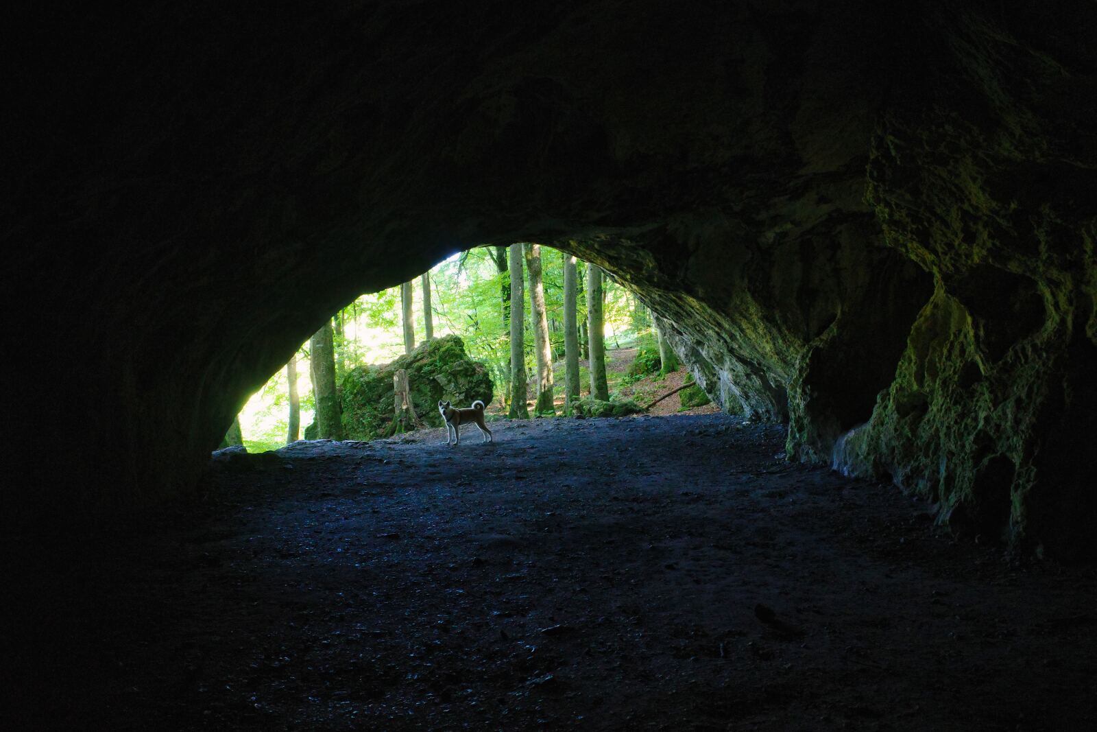 In der Oswaldhöhle