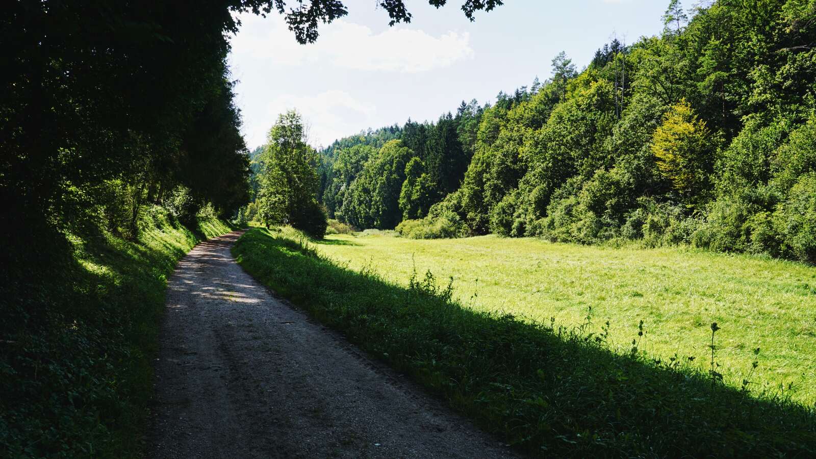 Wuestenstein nach Veilbronn weg