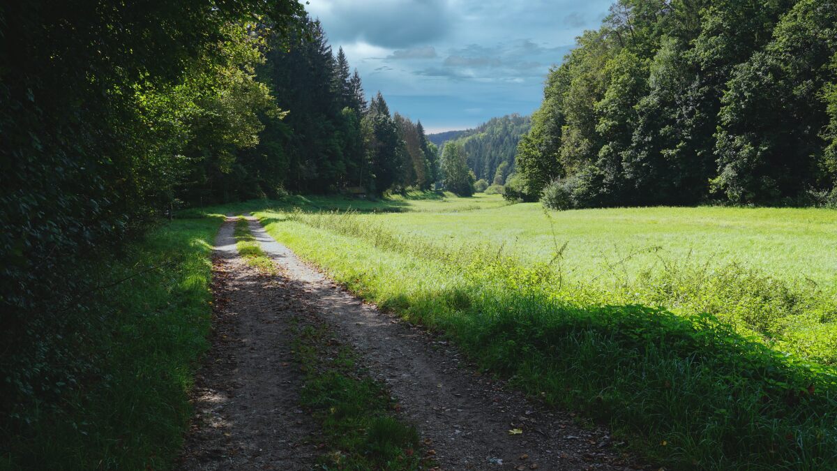 Veilbronn Wiesenweg