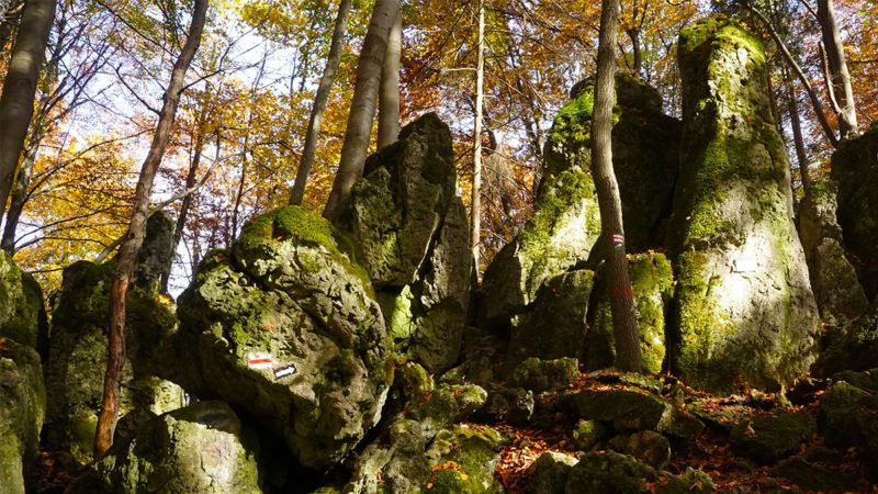 Felsen des Eibgrates in der Fränkischen Schweiz