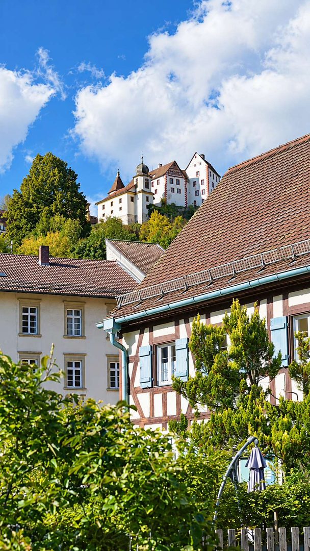 Blick auf die Burg Egloffstein