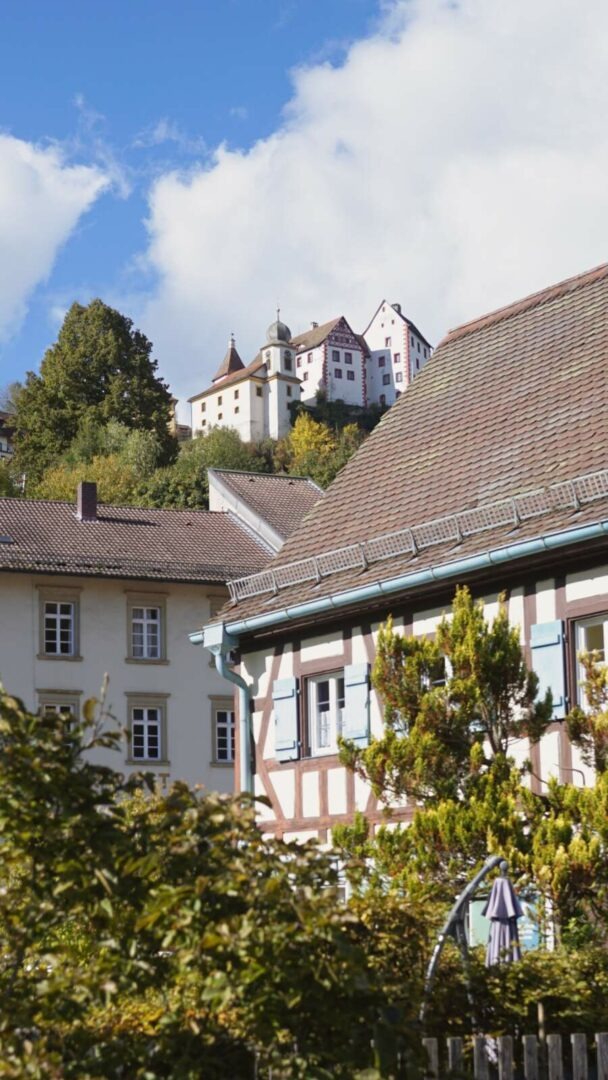 Blick auf die Burg Egloffstein