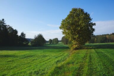 egloffstein home home 00
