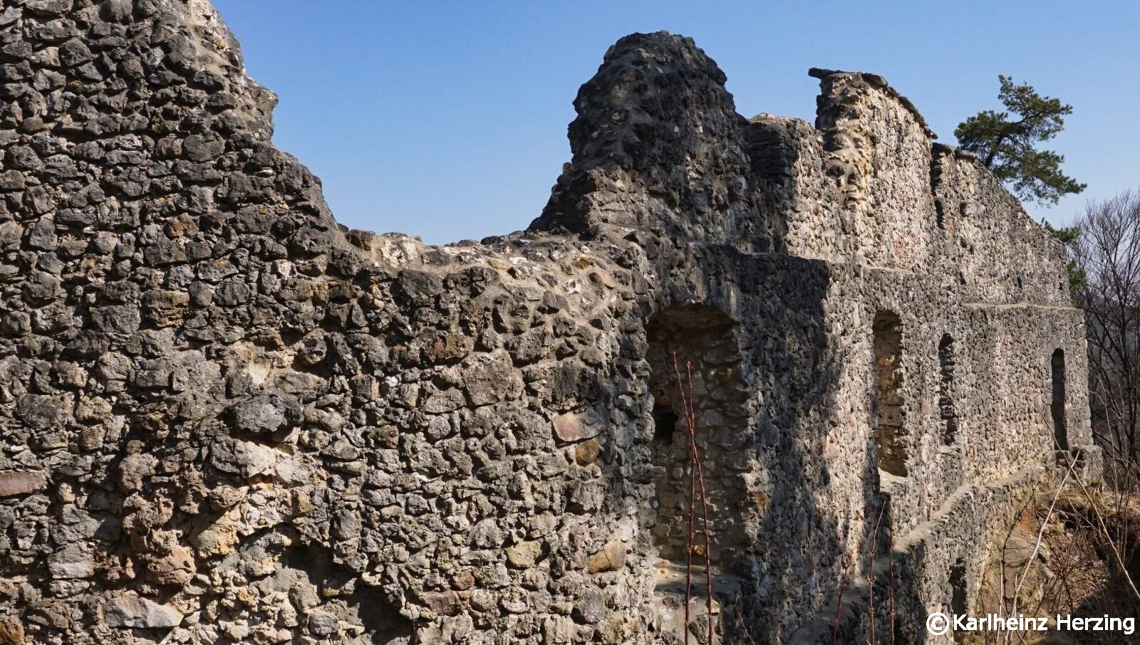 Burgruine Wildenfels