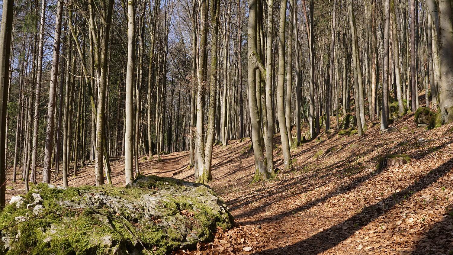 eibgrat weg new