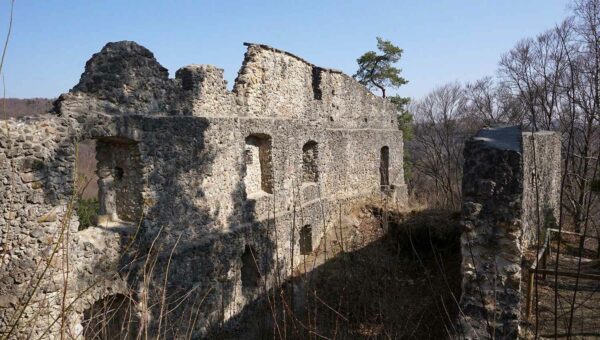 Burgruine Wildenfels