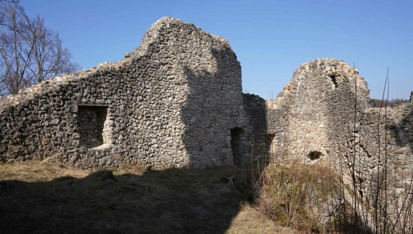 Burgruine Wildenfels