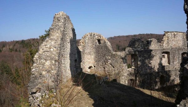 Burgruine Wildenfels