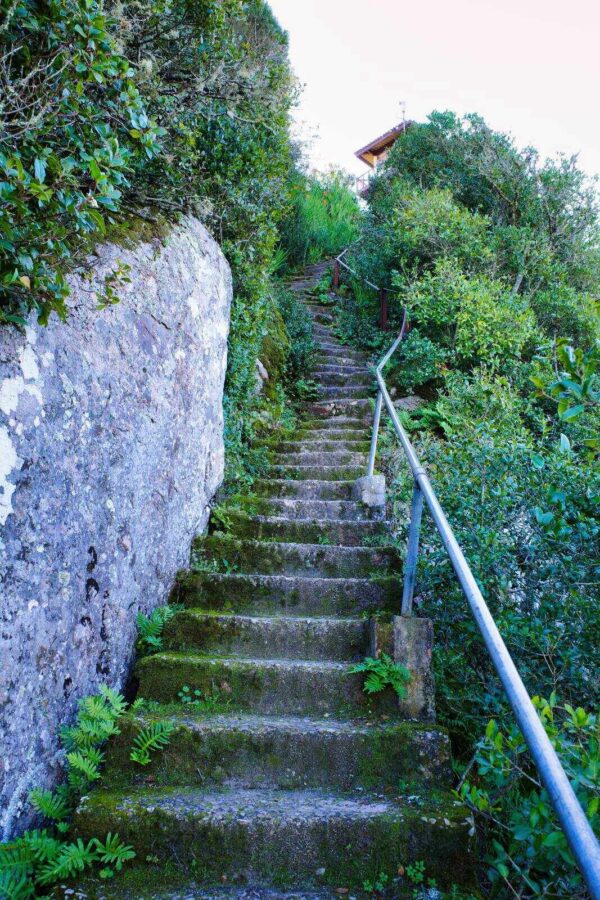 Monte de Sao Bartolomeu treppe 02 new