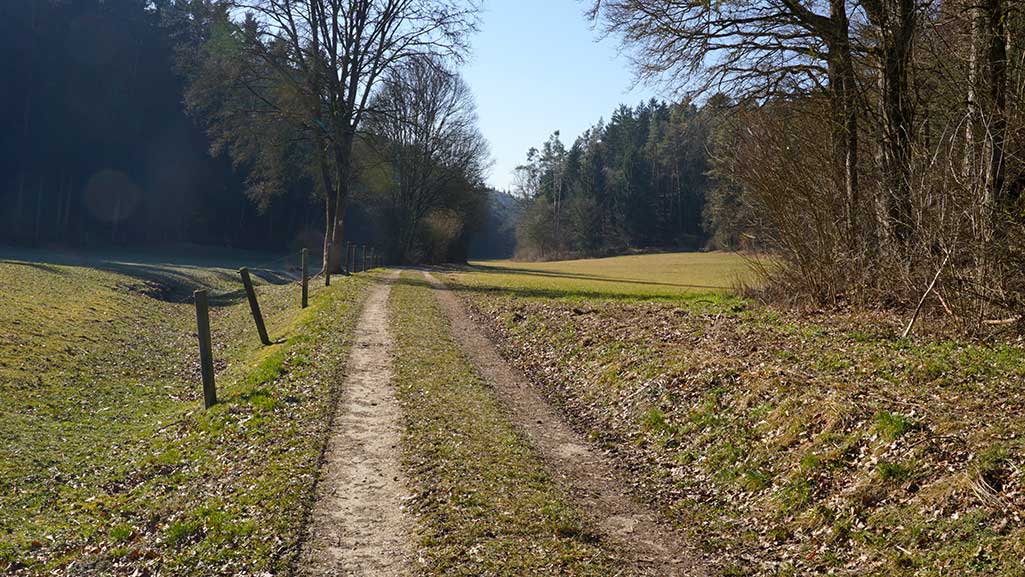 Wald- und Flurweg bei Ammerthal